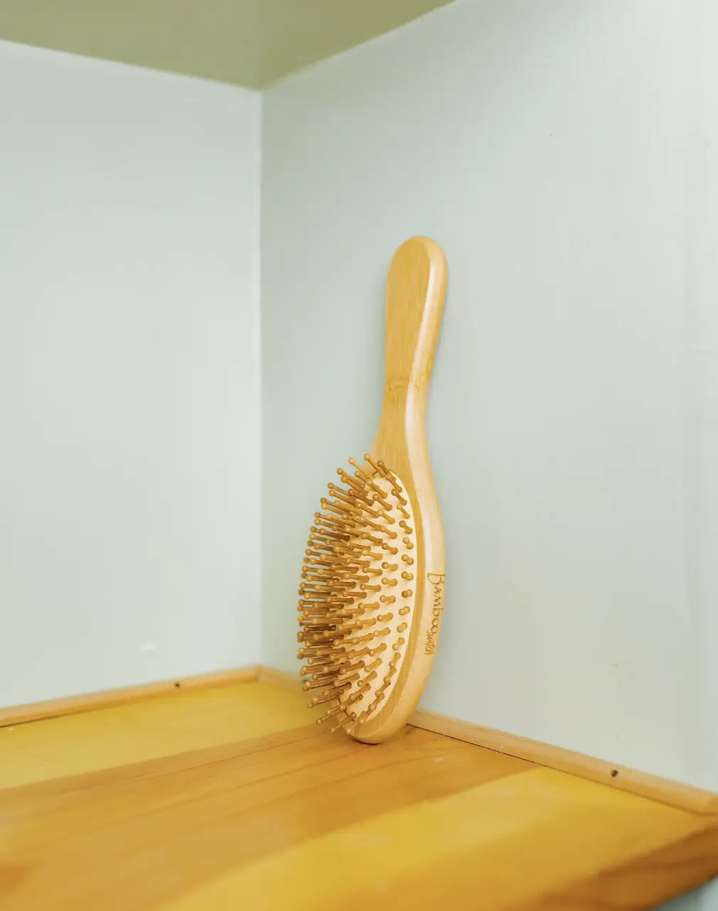 Bamboo Hairbrush