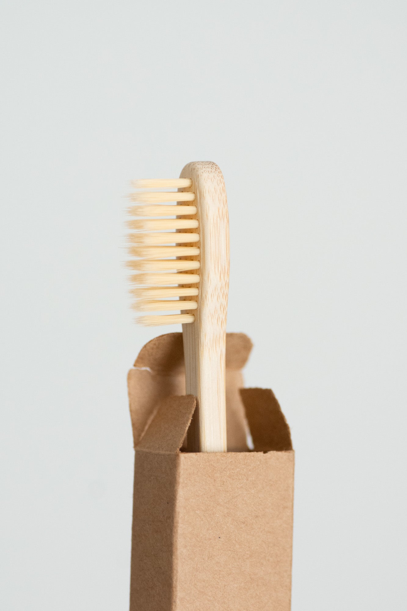 Bamboo Toothbrush