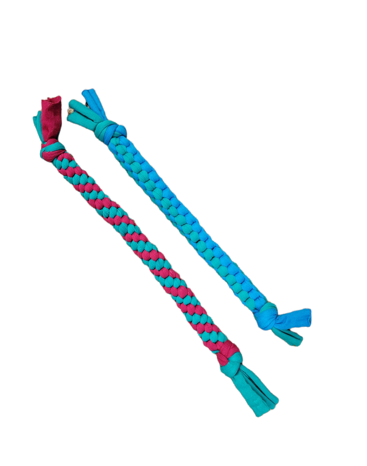 Dog Toys